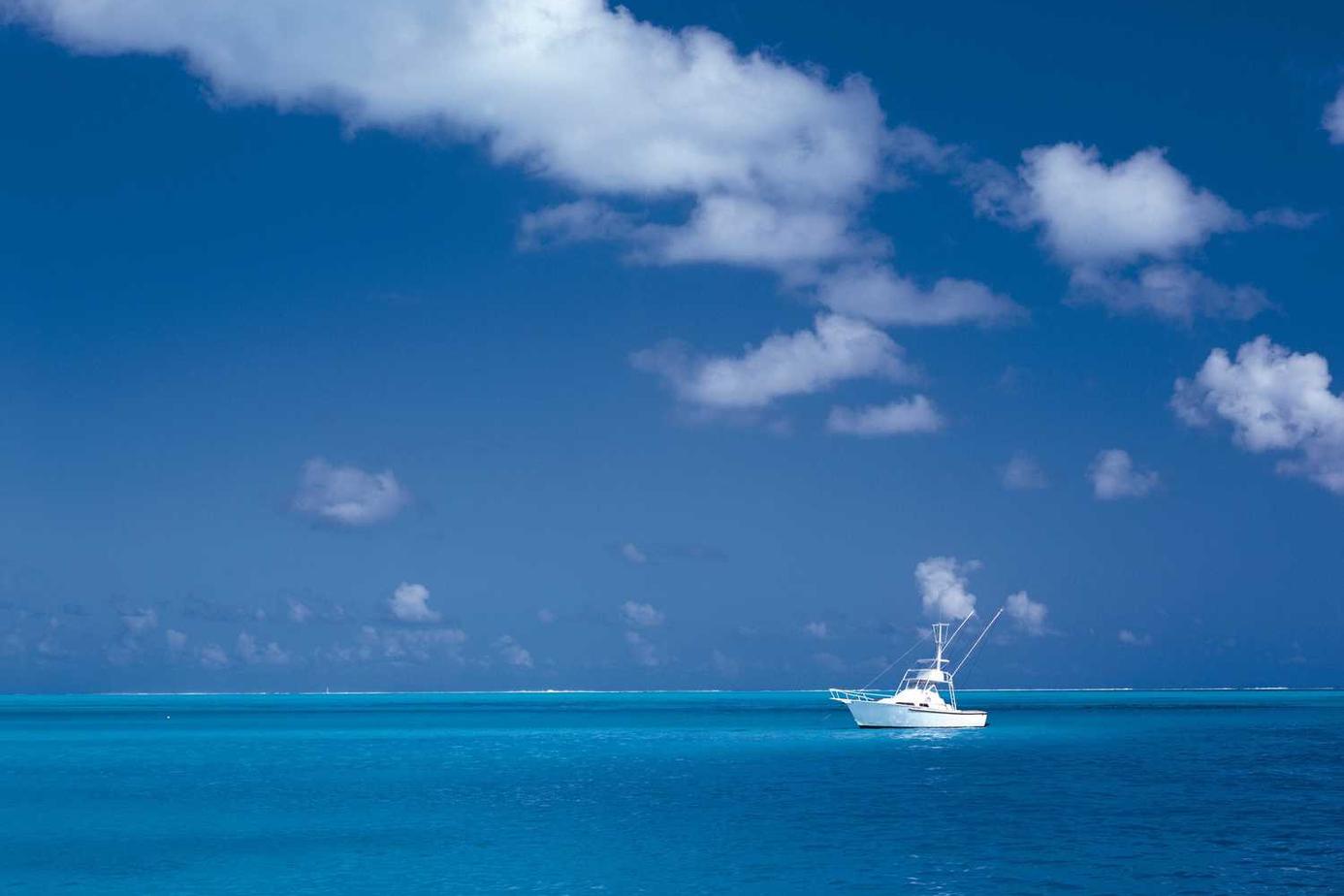 Velit consequatur tempore distinctio ipsa qui minus